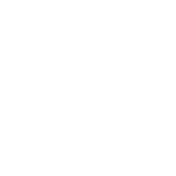 An icon of a target with a circle